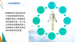 “筋膜学之父”原林教授携手举办首期筋膜康复培训班原价9800，首期优惠2900，